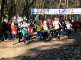 2017-01-22 Cross Achilles - 032